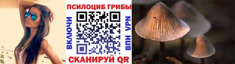Галлюциногенные грибы GOLDEN TEACHER  blacksprut ссылки  Всеволожск 