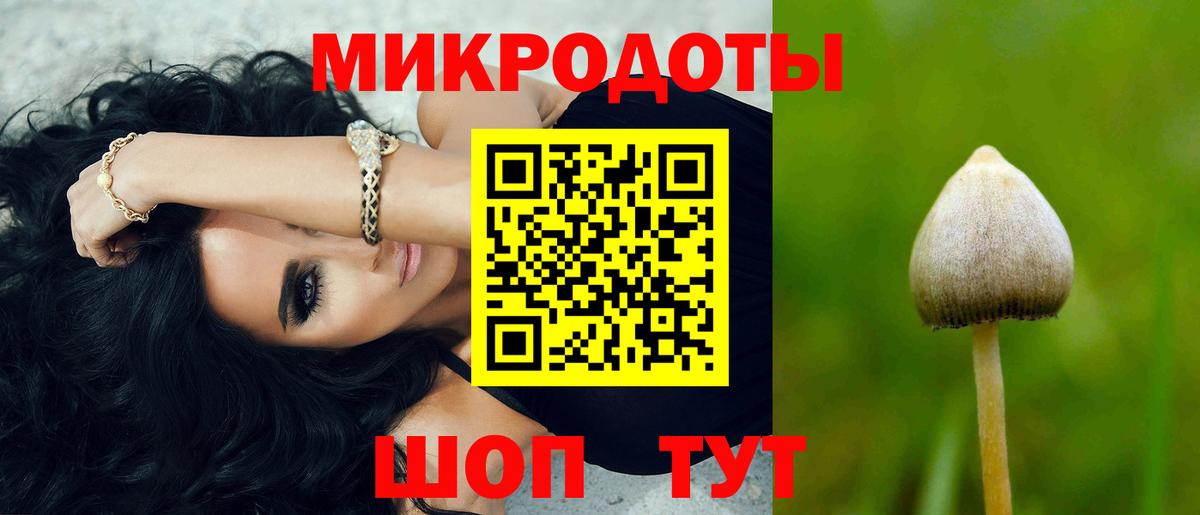 Псилоцибиновые грибы мухоморы Всеволожск